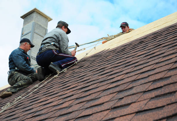 Quick and Trustworthy Emergency Roof Repair Services in Laughlin, NV